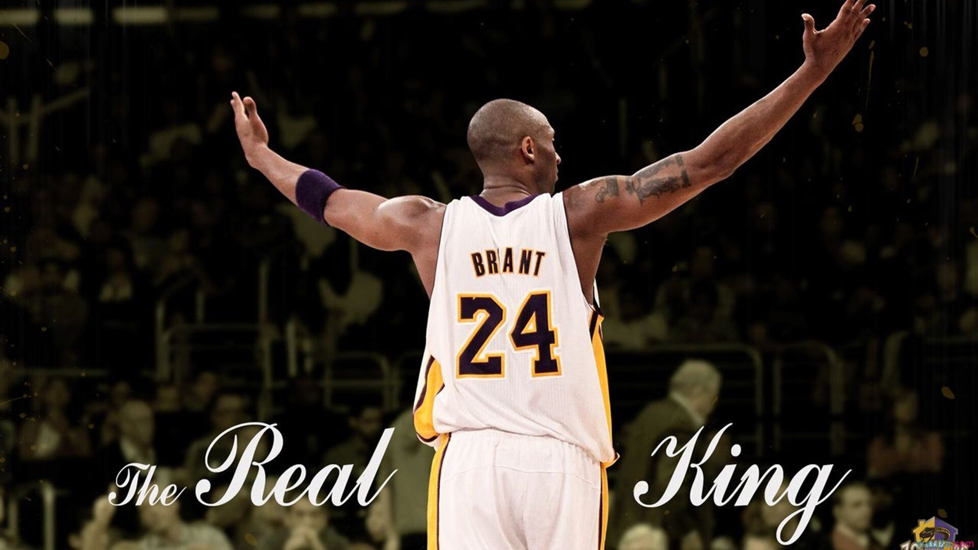 “胡利安·门德斯的全能表现，成为阿根廷美洲狮队的进攻新动力”